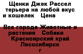 Щенки Джек Рассел терьера на любой вкус и кошелек › Цена ­ 13 000 - Все города Животные и растения » Собаки   . Красноярский край,Лесосибирск г.